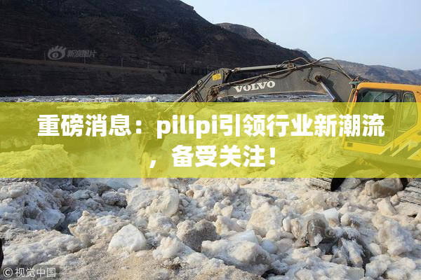 重磅消息：pilipi引领行业新潮流，备受关注！