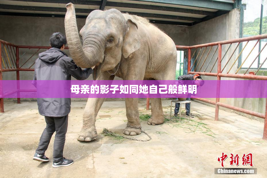 母亲的影子如同她自己般鲜明