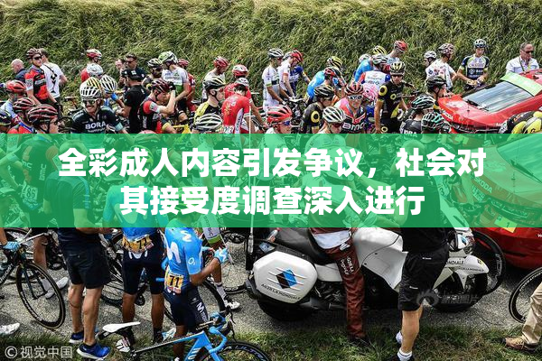 全彩成人内容引发争议，社会对其接受度调查深入进行
