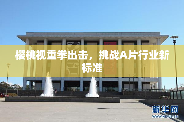 樱桃视重拳出击，挑战A片行业新标准