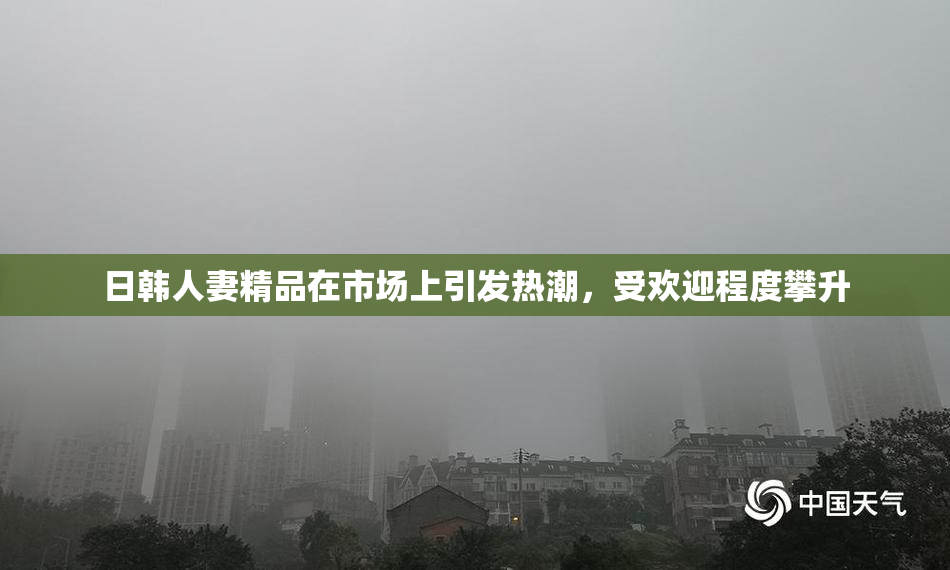 日韩人妻精品在市场上引发热潮，受欢迎程度攀升