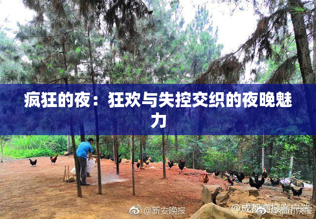 疯狂的夜：狂欢与失控交织的夜晚魅力