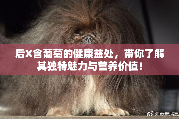 后X含葡萄的健康益处，带你了解其独特魅力与营养价值！