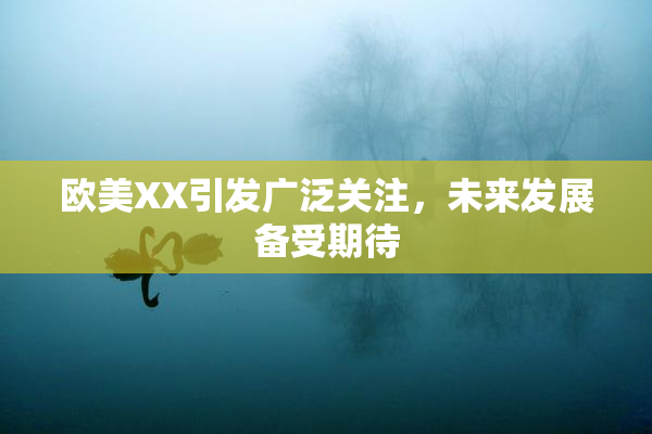 欧美XX引发广泛关注，未来发展备受期待