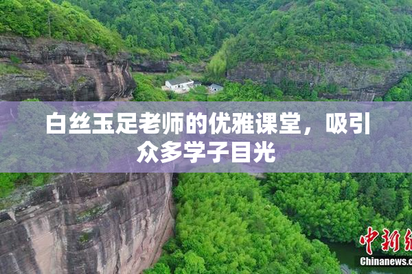 白丝玉足老师的优雅课堂，吸引众多学子目光