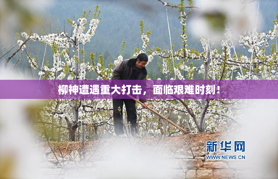 柳神遭遇重大打击，面临艰难时刻！