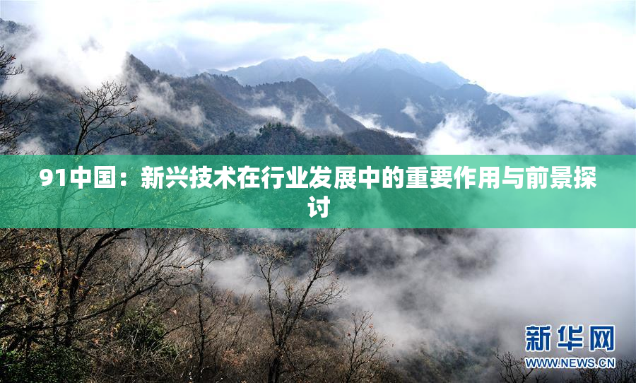 91中国：新兴技术在行业发展中的重要作用与前景探讨