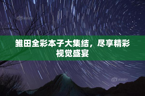 雏田全彩本子大集结，尽享精彩视觉盛宴