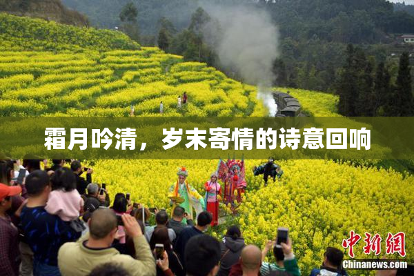 霜月吟清，岁末寄情的诗意回响