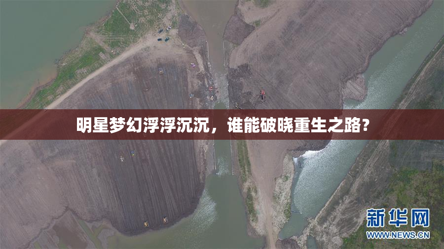 明星梦幻浮浮沉沉，谁能破晓重生之路？