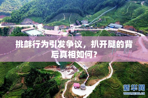 挑衅行为引发争议，扒开腿的背后真相如何？