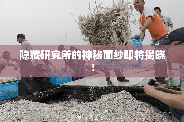 隐藏研究所的神秘面纱即将揭晓！