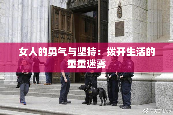 女人的勇气与坚持：拨开生活的重重迷雾