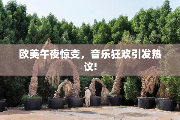 欧美午夜惊变，音乐狂欢引发热议!