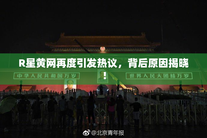 R星黄网再度引发热议，背后原因揭晓！
