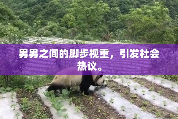 男男之间的脚步视重，引发社会热议。