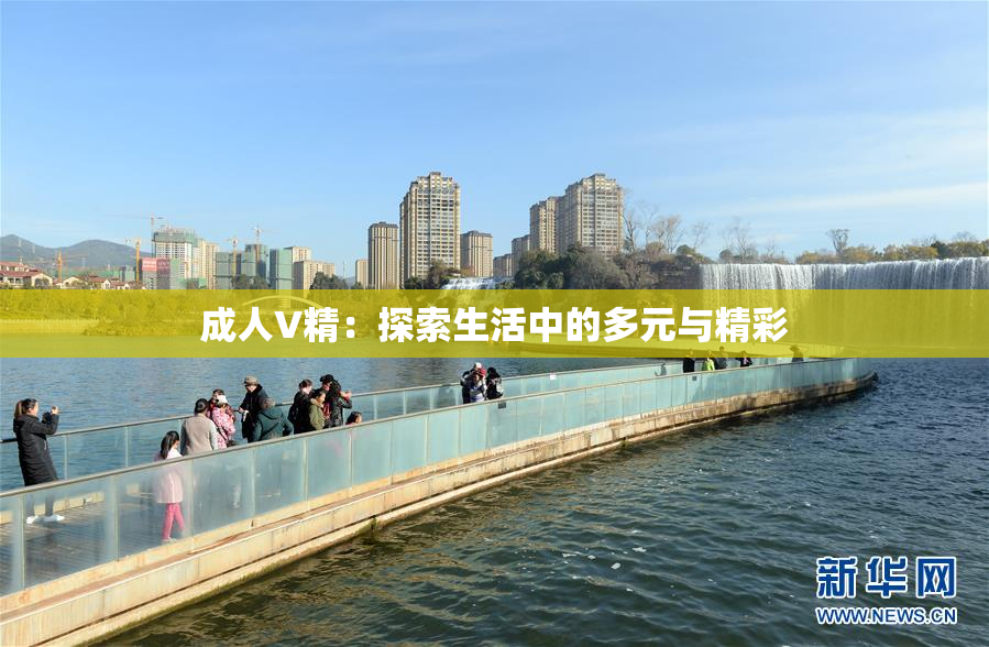 成人V精：探索生活中的多元与精彩