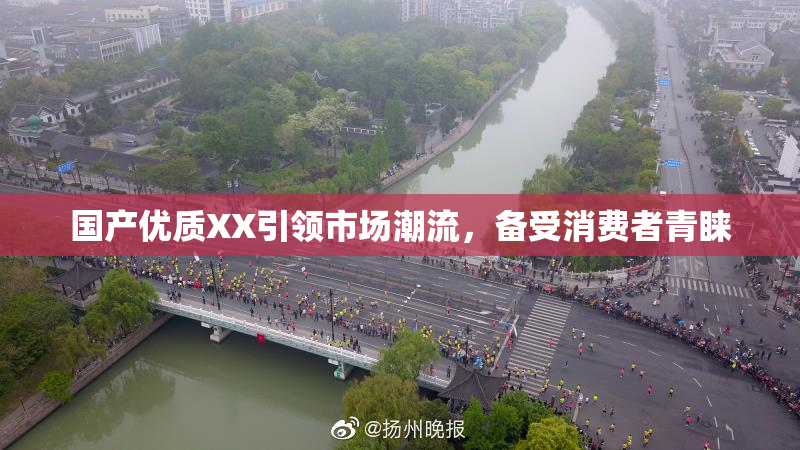 国产优质XX引领市场潮流，备受消费者青睐