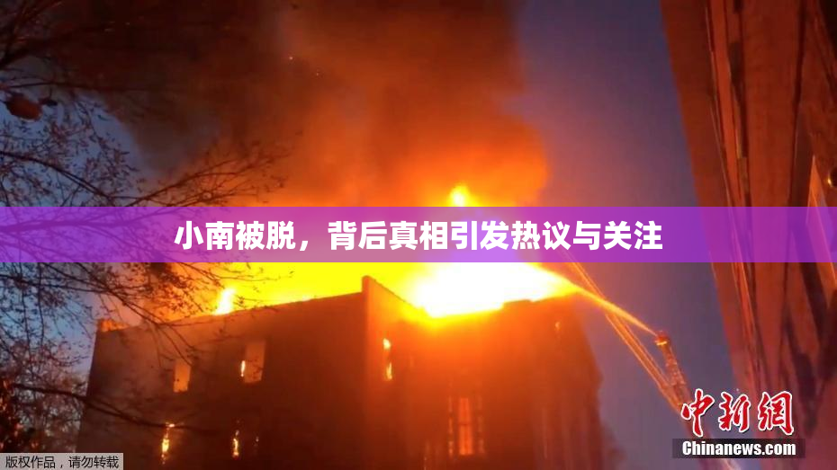 小南被脱，背后真相引发热议与关注