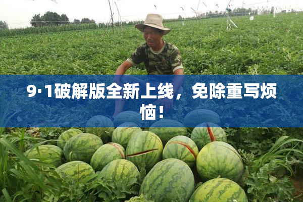 9·1破解版全新上线，免除重写烦恼！