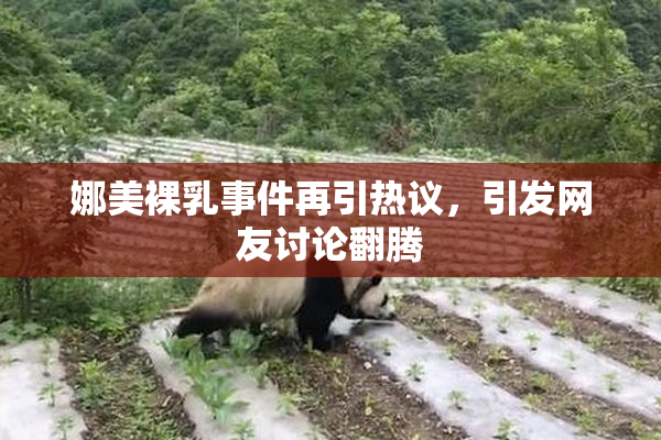 娜美裸乳事件再引热议，引发网友讨论翻腾