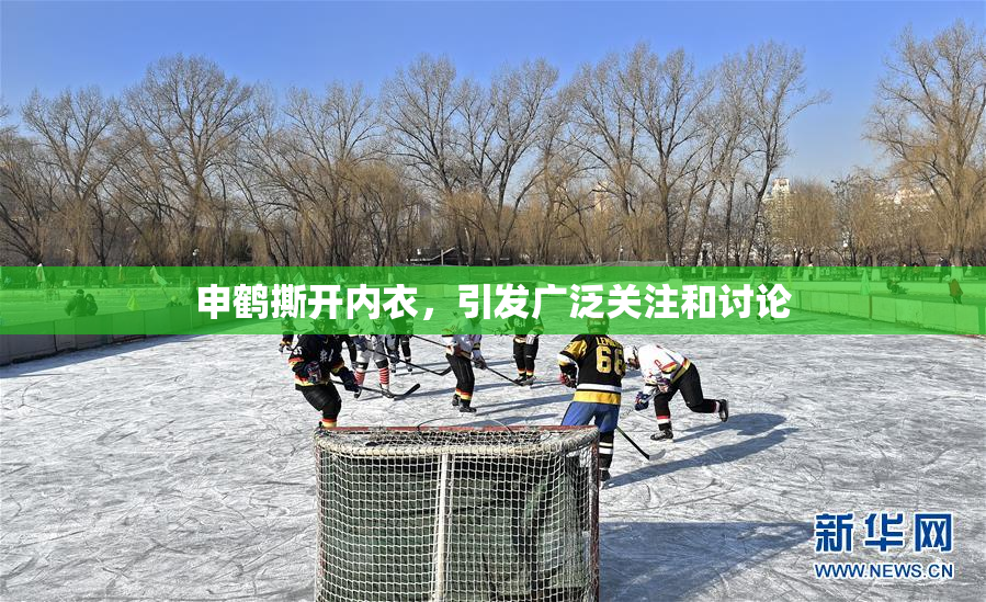 申鹤撕开内衣，引发广泛关注和讨论