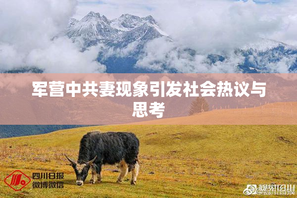 军营中共妻现象引发社会热议与思考