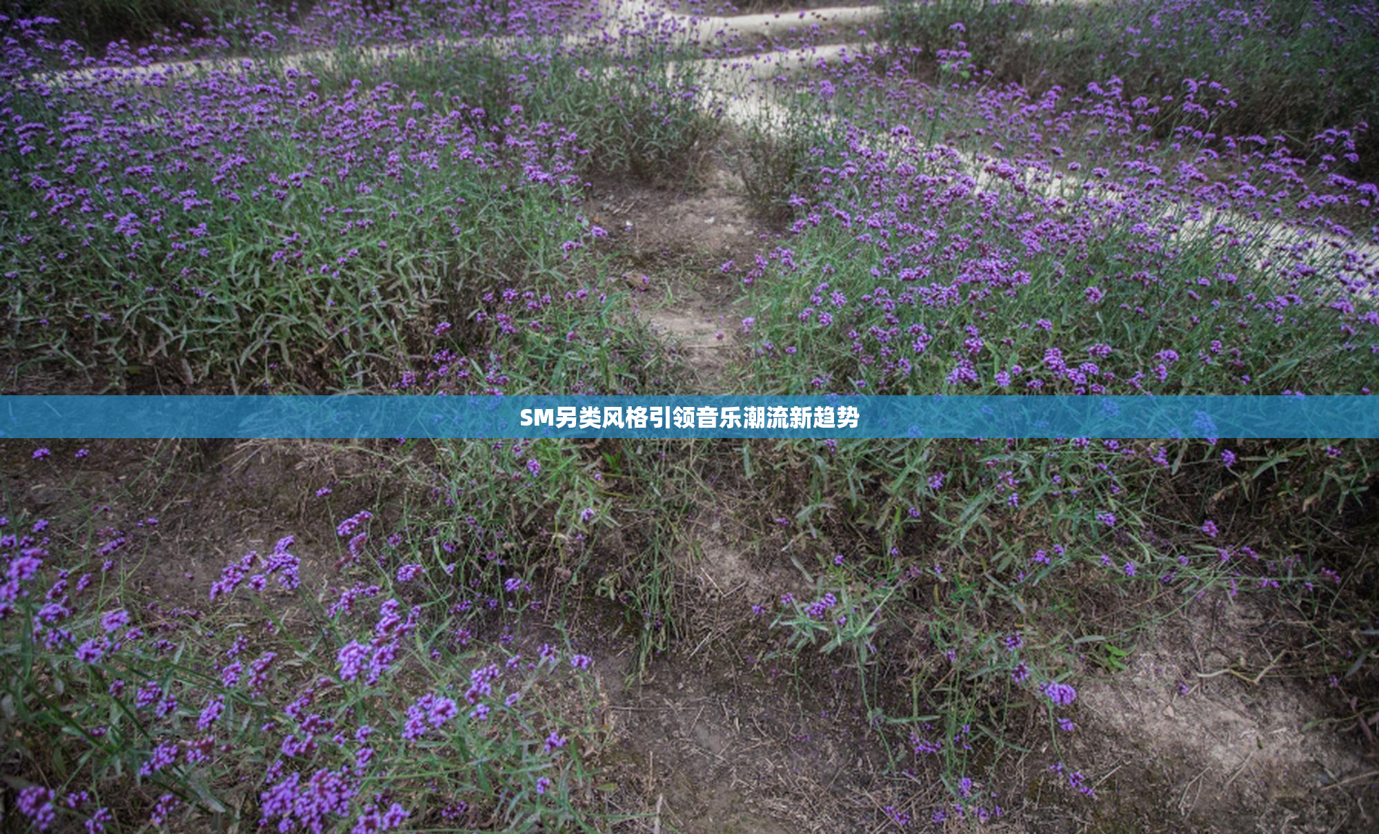 SM另类风格引领音乐潮流新趋势