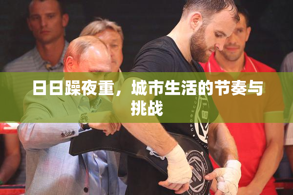 日日躁夜重，城市生活的节奏与挑战