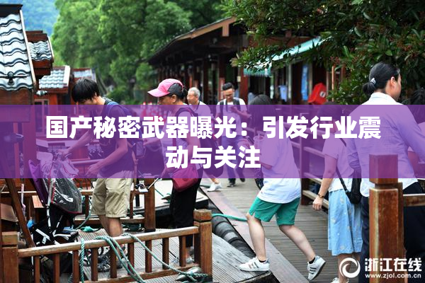 国产秘密武器曝光：引发行业震动与关注
