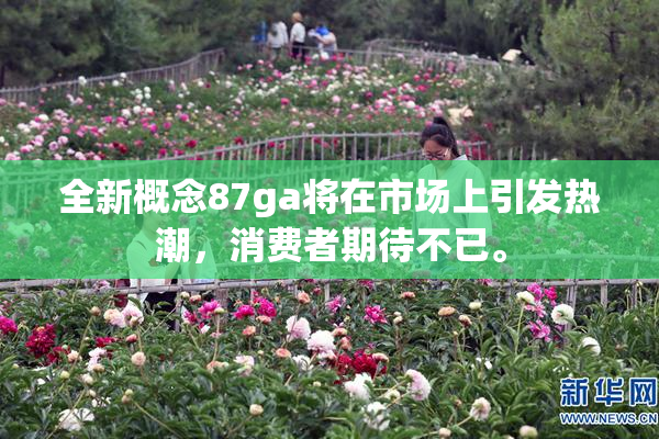 全新概念87ga将在市场上引发热潮，消费者期待不已。