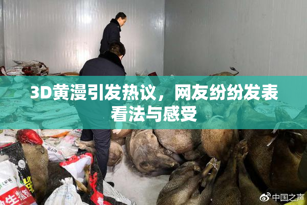 3D黄漫引发热议，网友纷纷发表看法与感受