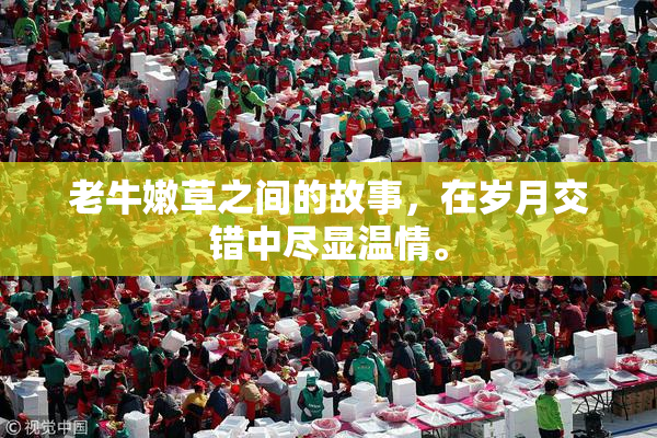 老牛嫩草之间的故事，在岁月交错中尽显温情。