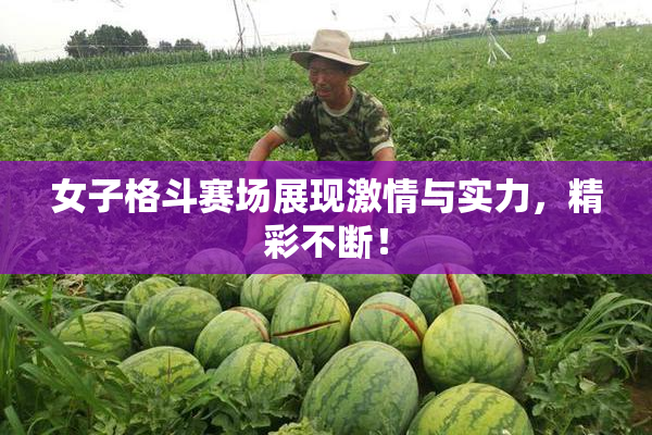 女子格斗赛场展现激情与实力，精彩不断！