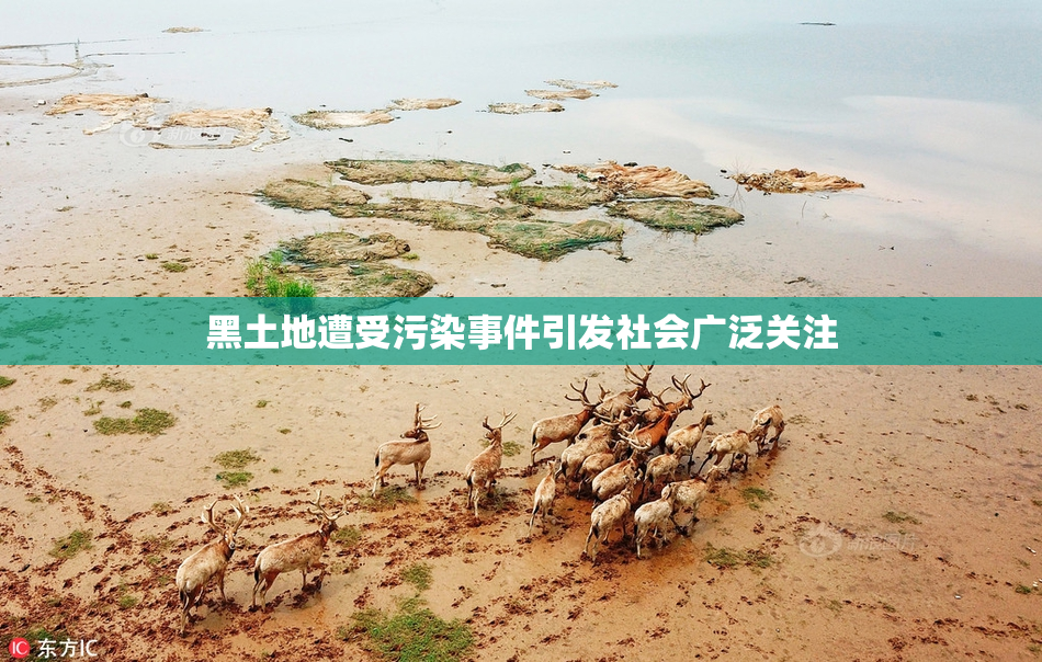 黑土地遭受污染事件引发社会广泛关注