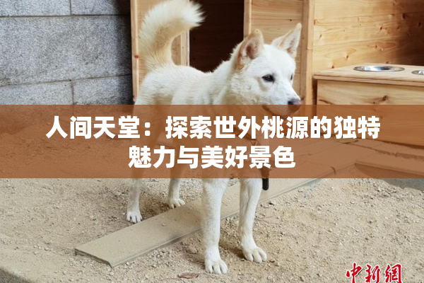 人间天堂：探索世外桃源的独特魅力与美好景色