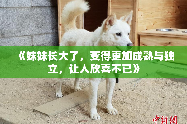 《妹妹长大了，变得更加成熟与独立，让人欣喜不已》