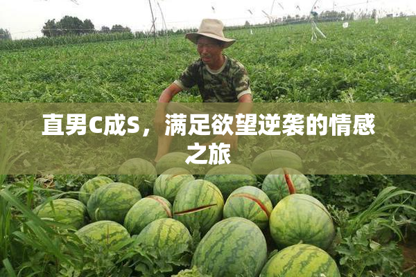 直男C成S，满足欲望逆袭的情感之旅