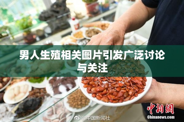 男人生殖相关图片引发广泛讨论与关注