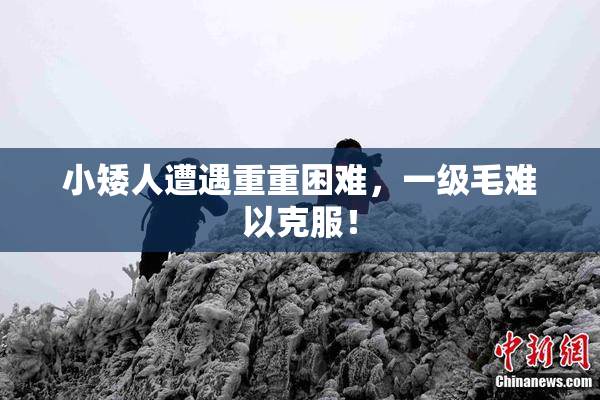 小矮人遭遇重重困难，一级毛难以克服！