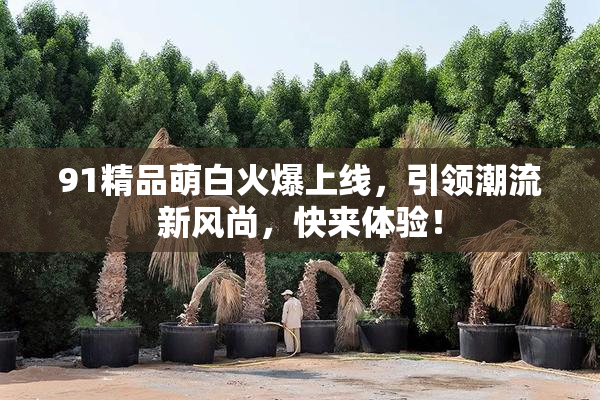 91精品萌白火爆上线，引领潮流新风尚，快来体验！