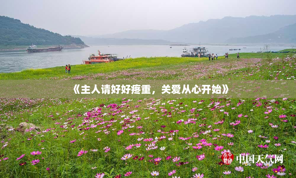 《主人请好好疼重，关爱从心开始》