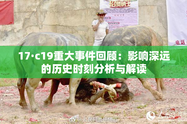 17·c19重大事件回顾：影响深远的历史时刻分析与解读