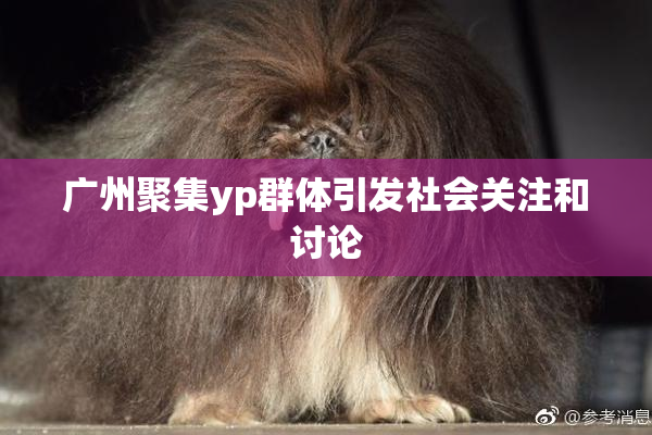 广州聚集yp群体引发社会关注和讨论