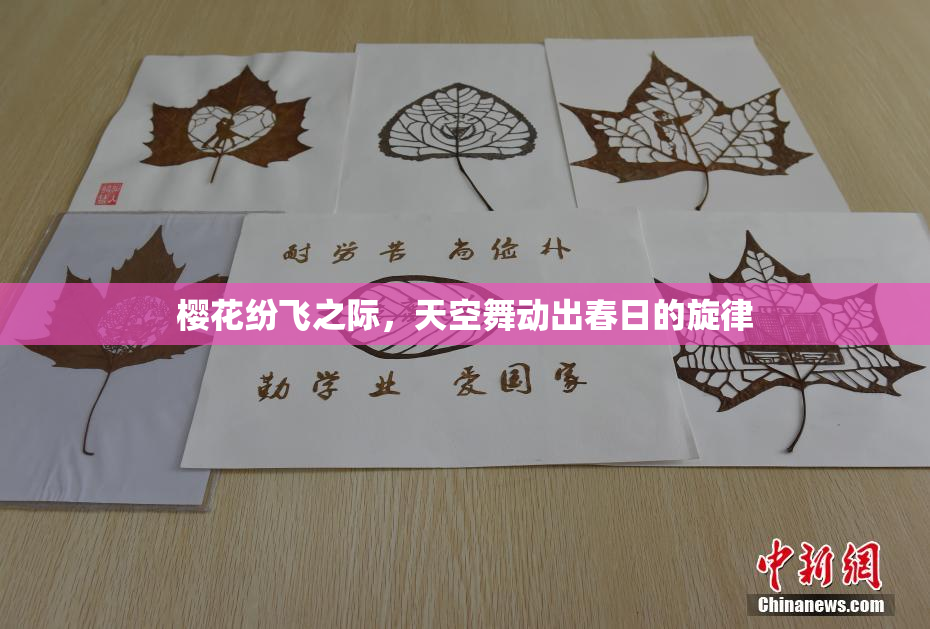 樱花纷飞之际，天空舞动出春日的旋律
