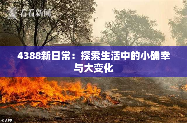 4388新日常：探索生活中的小确幸与大变化