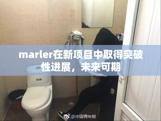 marler在新项目中取得突破性进展，未来可期
