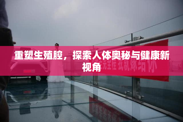 重塑生殖腔，探索人体奥秘与健康新视角