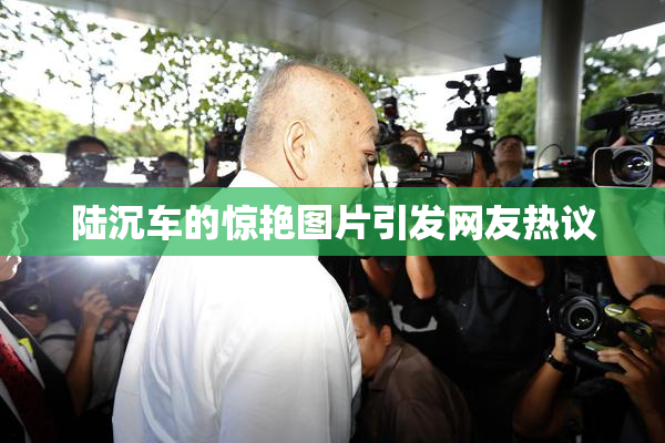 陆沉车的惊艳图片引发网友热议