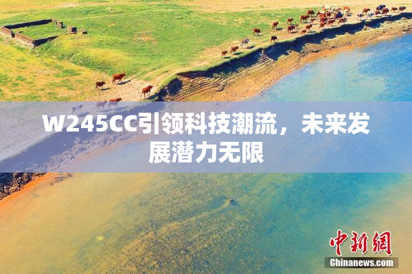 W245CC引领科技潮流，未来发展潜力无限